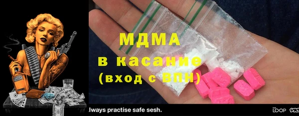индика Нижний Тагил