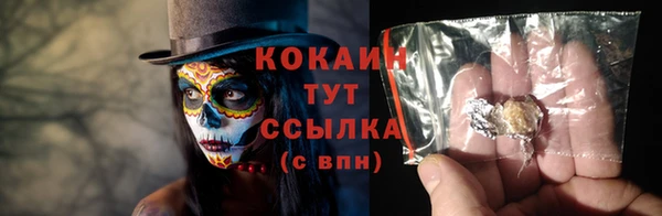 гашик Гусев