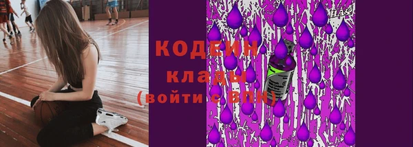 гашик Гусев