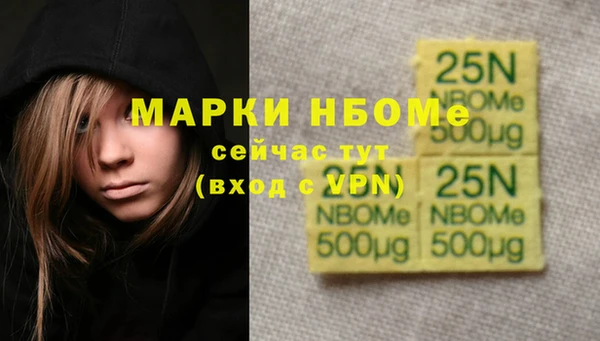 стаф Чита