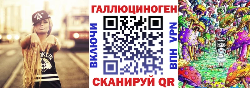 Псилоцибиновые грибы GOLDEN TEACHER  Купить закладки  Канаш 